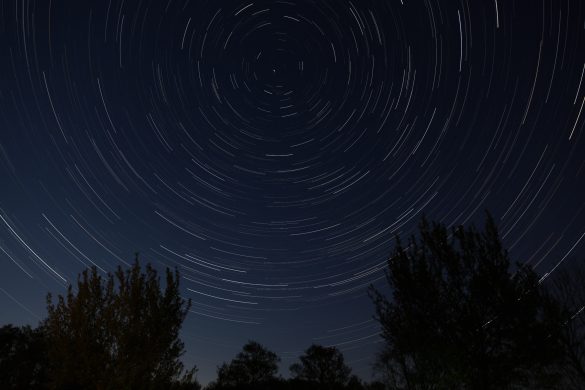 Ralph Startrail Lottum