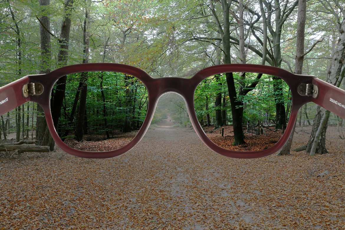 ExpositieClubwedstrijdRalphvanEersel