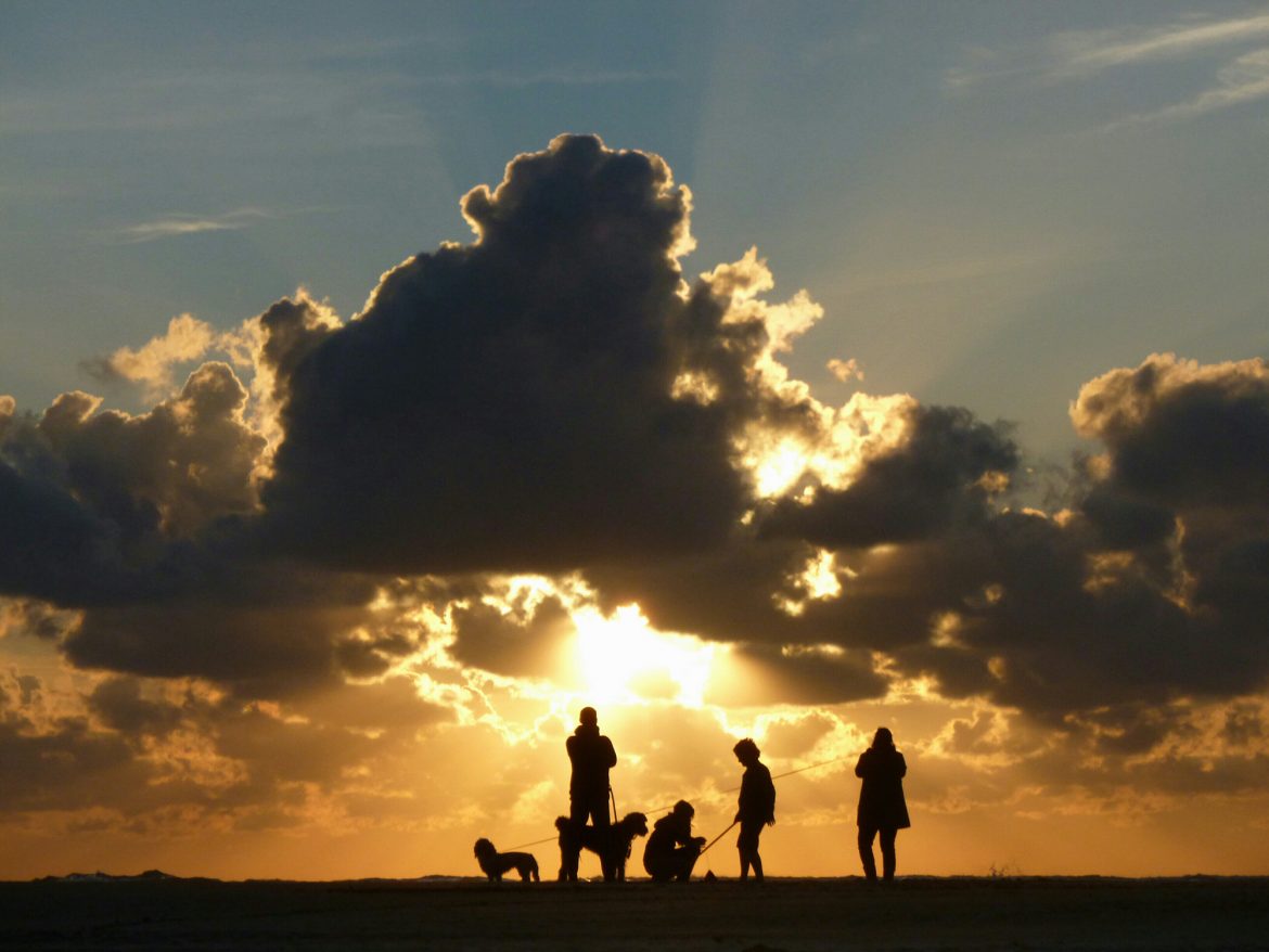 FotovdMaandJan2019_PimEdelman