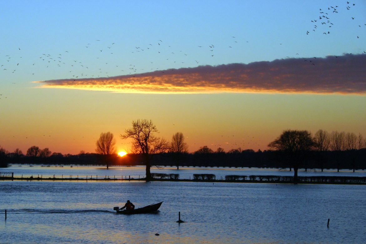 Landschap Ralph
