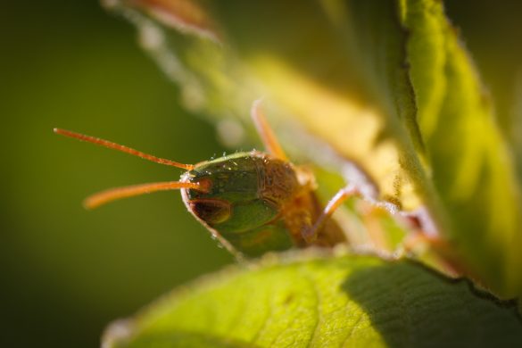 DannyWitteWorkshopLeonBaas-1