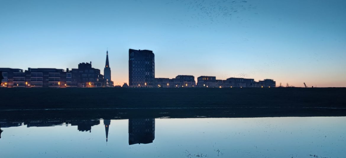 Lies BastiaanseDauwtrappen