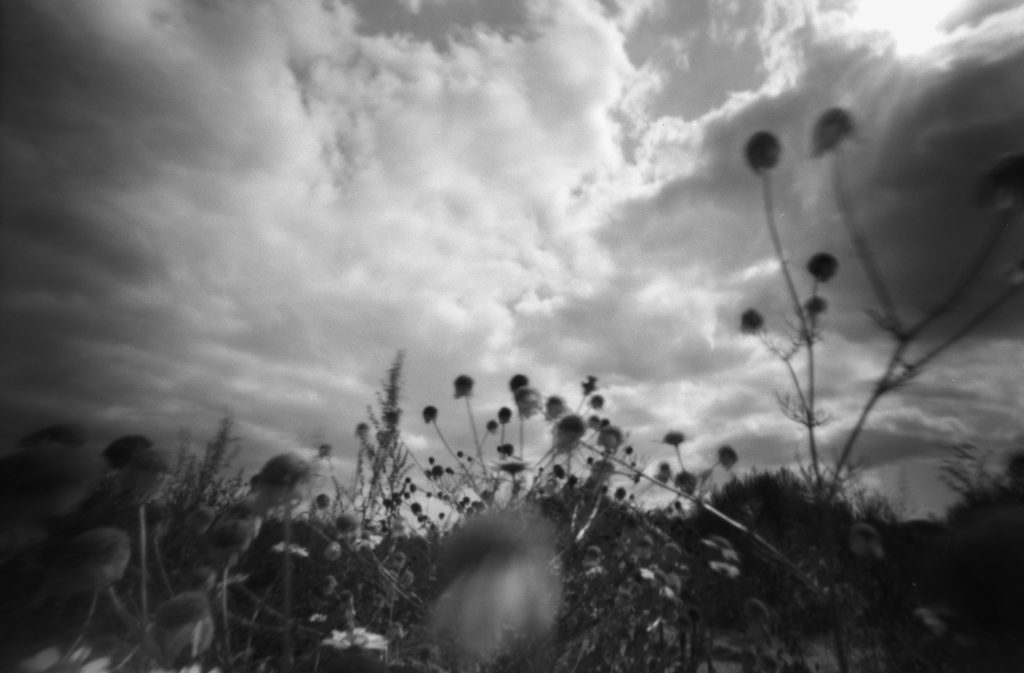 Pinhole foto van Daniëlle